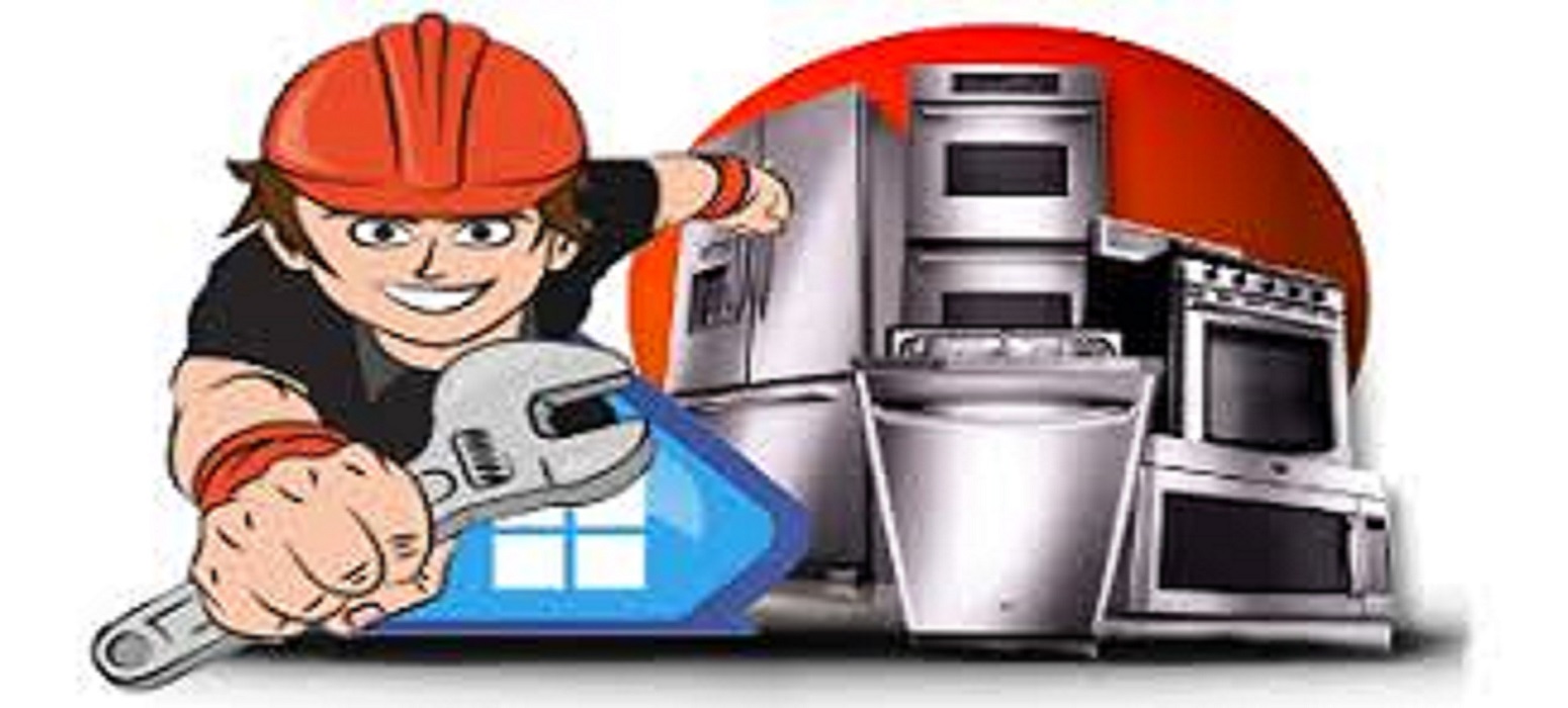 Professional washer repair service